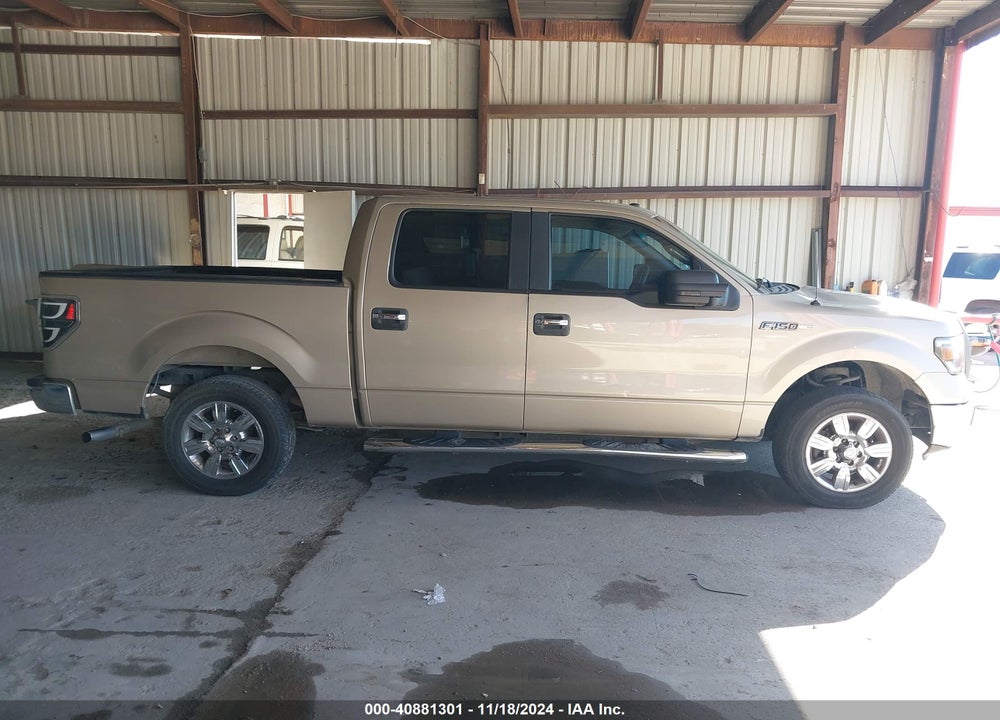2009 FORD F-150 XL/XLT VIN: 1FTRW12839FA19358