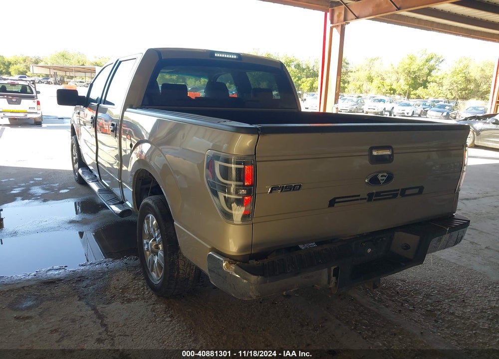 2009 FORD F-150 XL/XLT VIN: 1FTRW12839FA19358