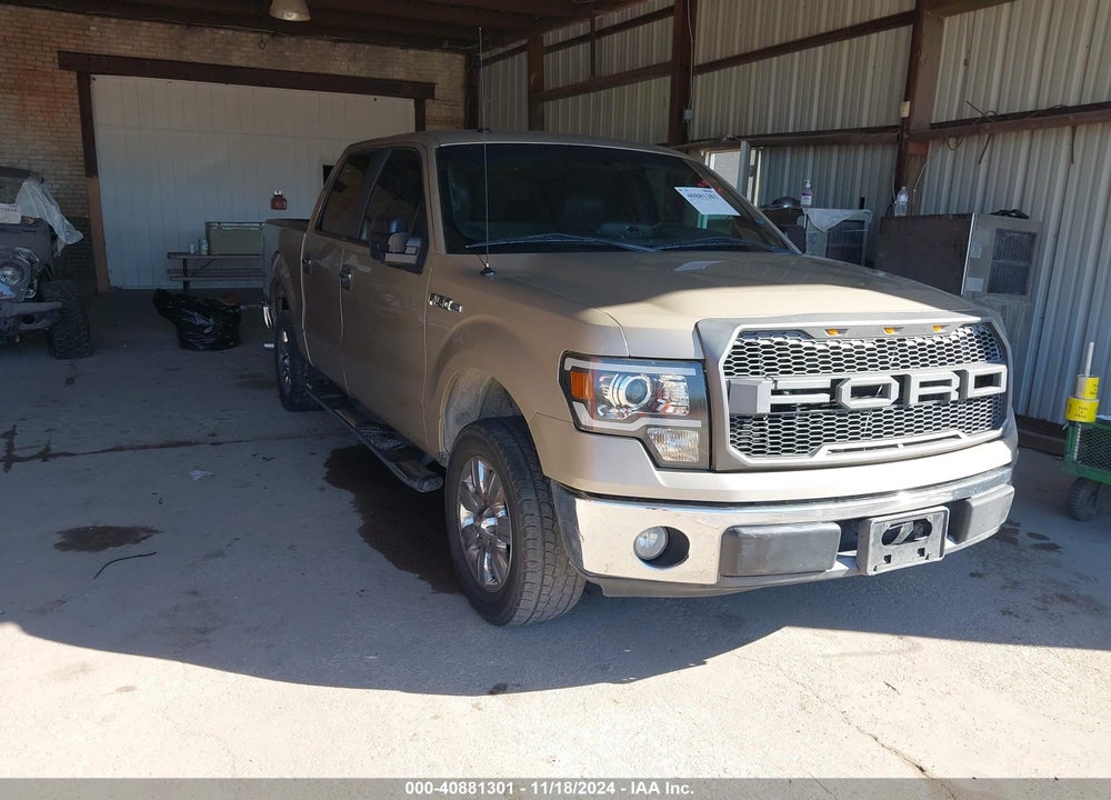 2009 FORD F-150 XL/XLT VIN: 1FTRW12839FA19358