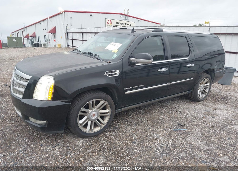 2011 CADILLAC ESCALADE ESV PLATINUM EDITION VIN: 1GYS3KEF7BR198559