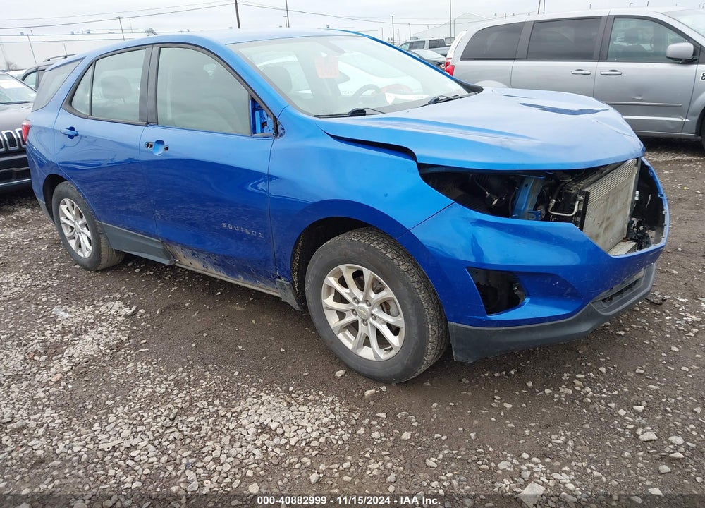 2019 CHEVROLET EQUINOX LS VIN: 3GNAXHEV2KS582656