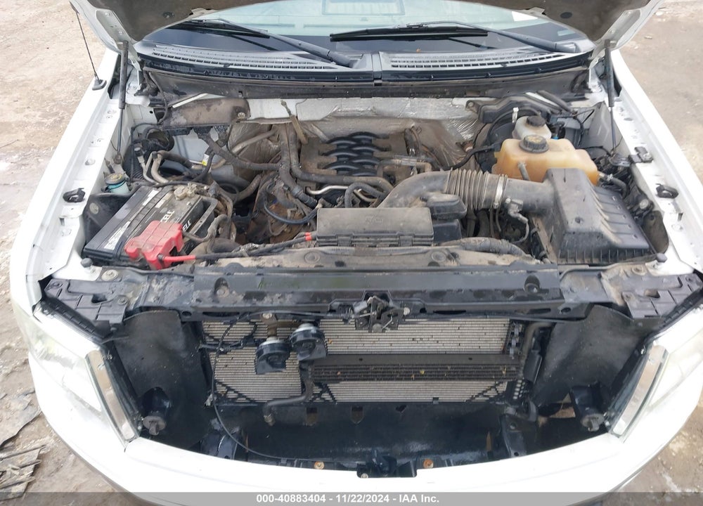 2011 FORD F-150 XLT VIN: 1FTFX1EFXBKD52390