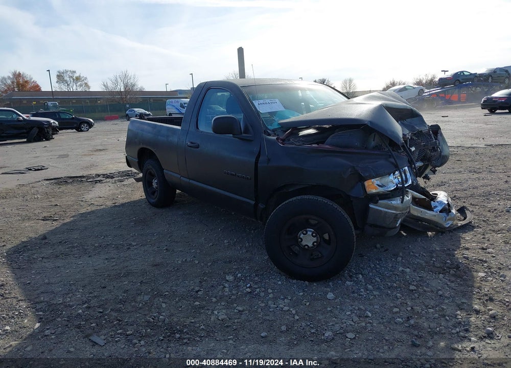 2002 DODGE RAM 1500 ST VIN: 1D7HA16K32J224624