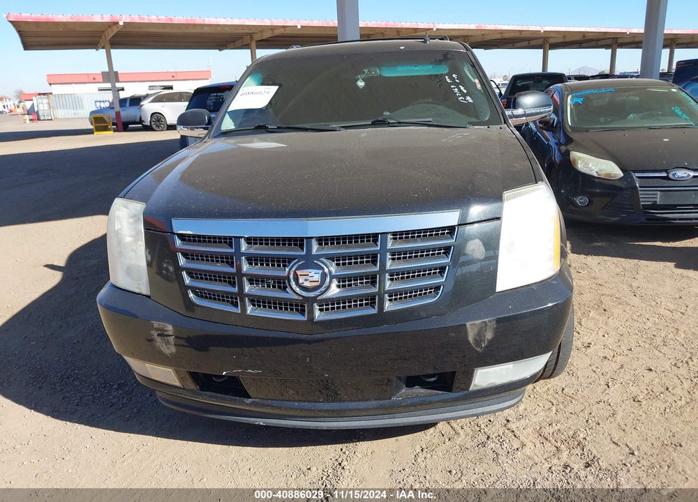 2010 CADILLAC ESCALADE STANDARD VIN: 1GYUKAEF3AR137164