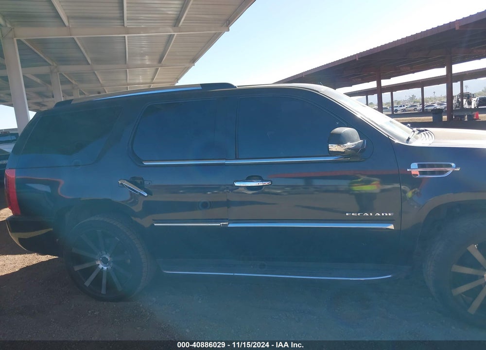 2010 CADILLAC ESCALADE STANDARD VIN: 1GYUKAEF3AR137164