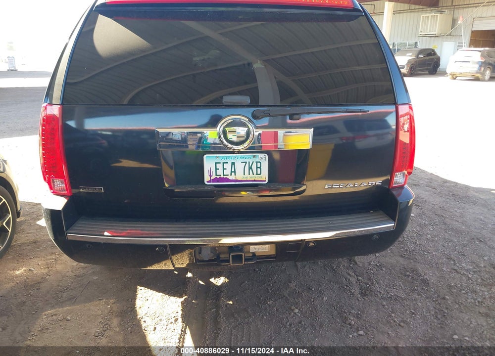 2010 CADILLAC ESCALADE STANDARD VIN: 1GYUKAEF3AR137164