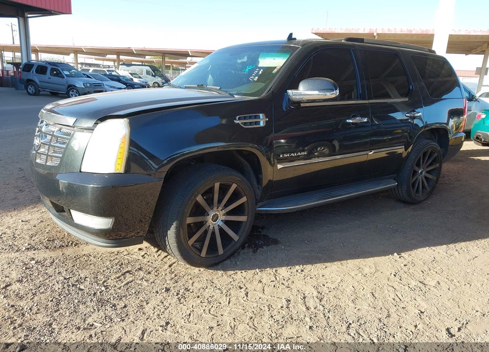 2010 CADILLAC ESCALADE STANDARD VIN: 1GYUKAEF3AR137164