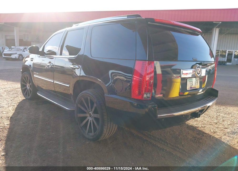 2010 CADILLAC ESCALADE STANDARD VIN: 1GYUKAEF3AR137164