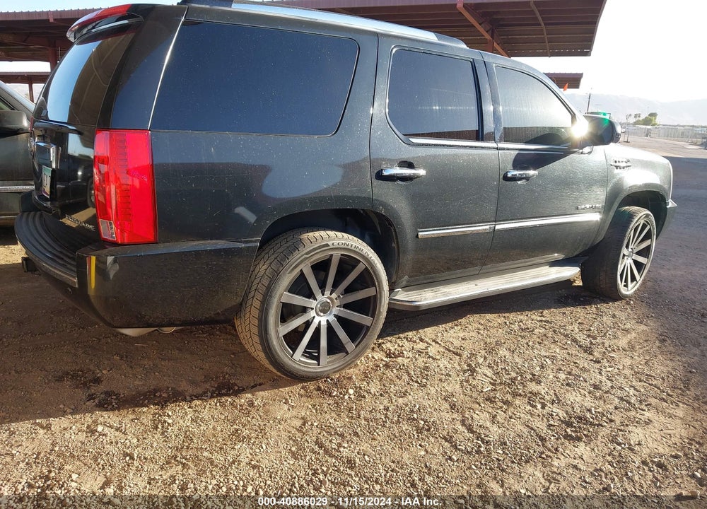 2010 CADILLAC ESCALADE STANDARD VIN: 1GYUKAEF3AR137164