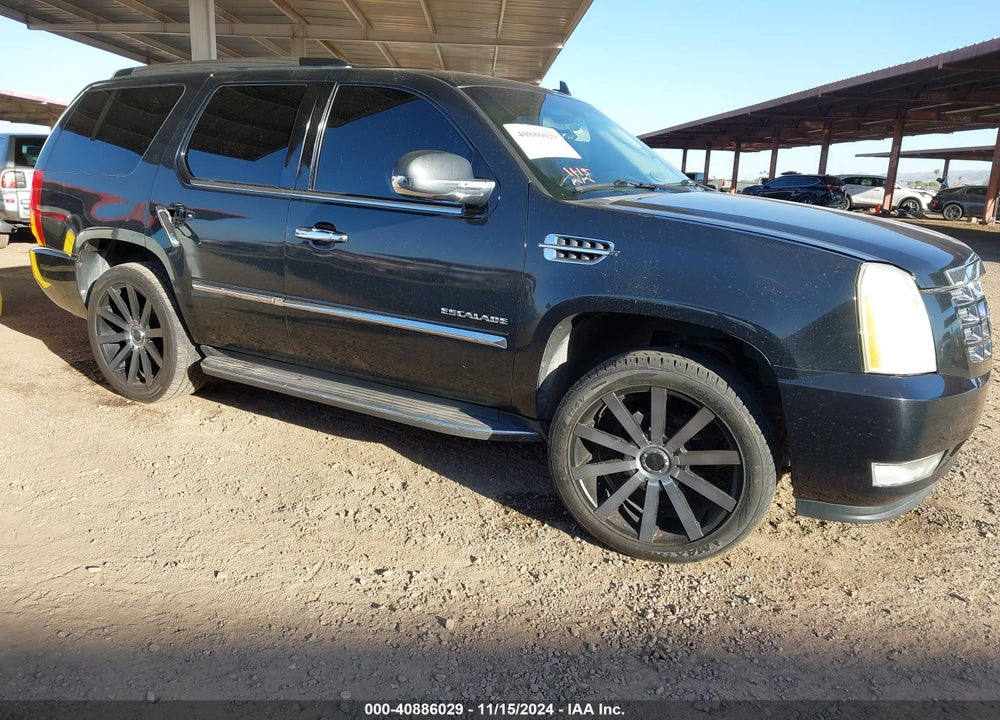 2010 CADILLAC ESCALADE STANDARD VIN: 1GYUKAEF3AR137164