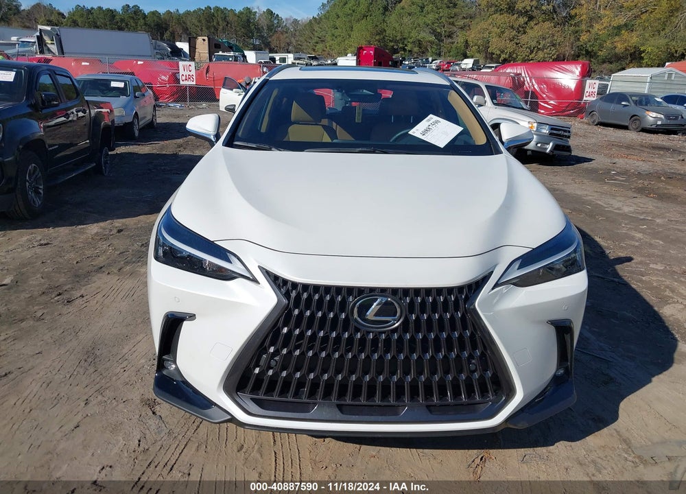 2025 LEXUS NX 250 PREMIUM VIN: JTJGDCAZ5S2015017