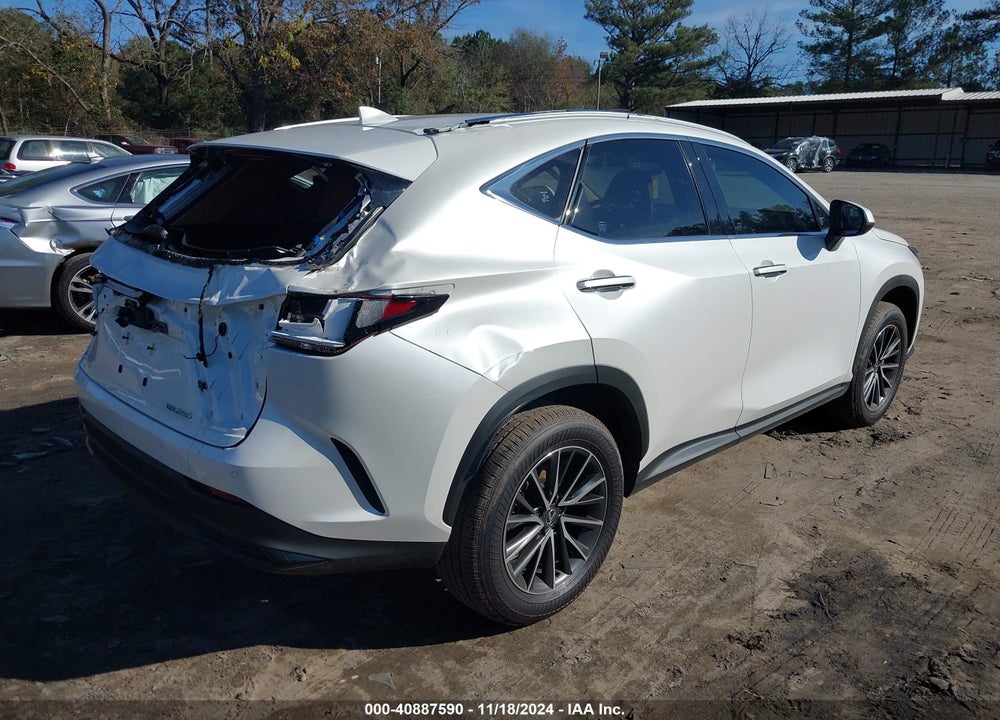 2025 LEXUS NX 250 PREMIUM VIN: JTJGDCAZ5S2015017