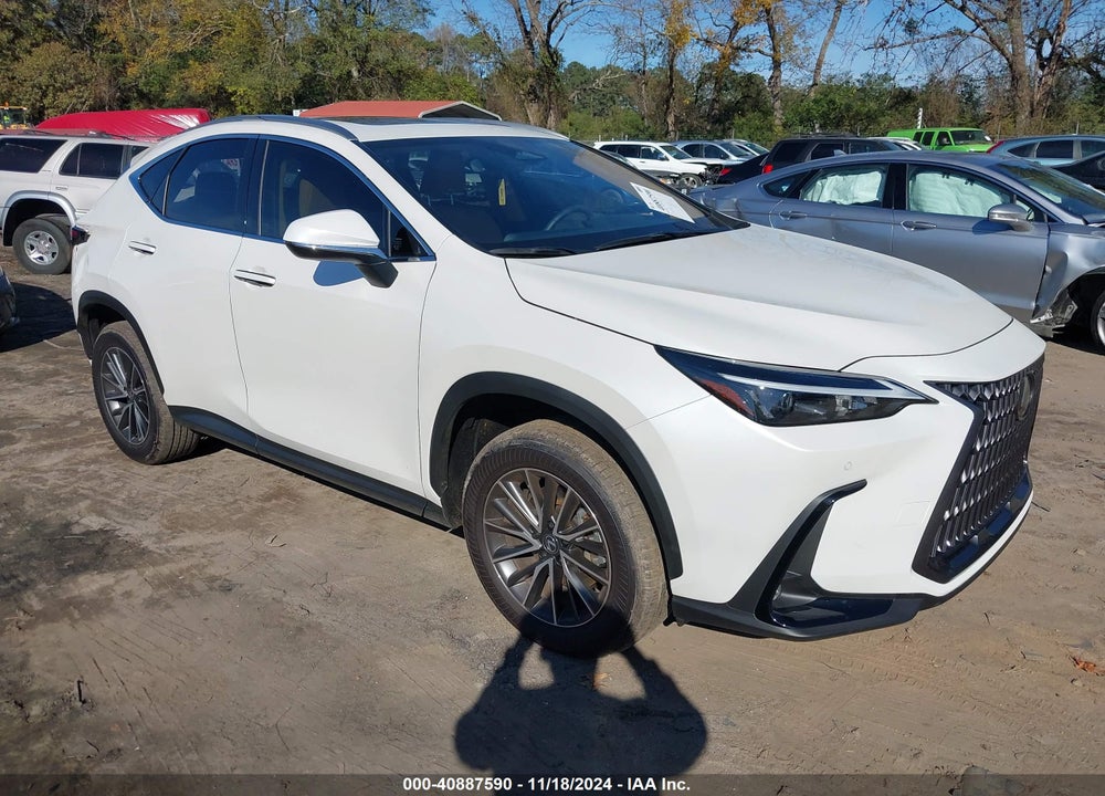 2025 LEXUS NX 250 PREMIUM VIN: JTJGDCAZ5S2015017