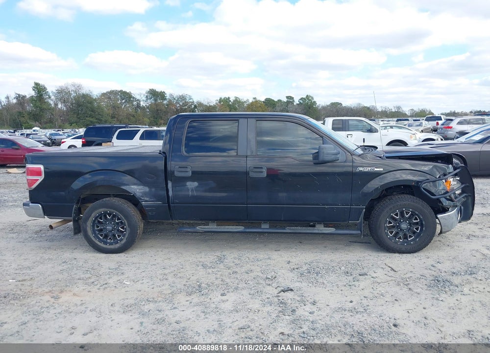 2011 FORD F-150 XLT VIN: 1FTEW1CM6BFB03707