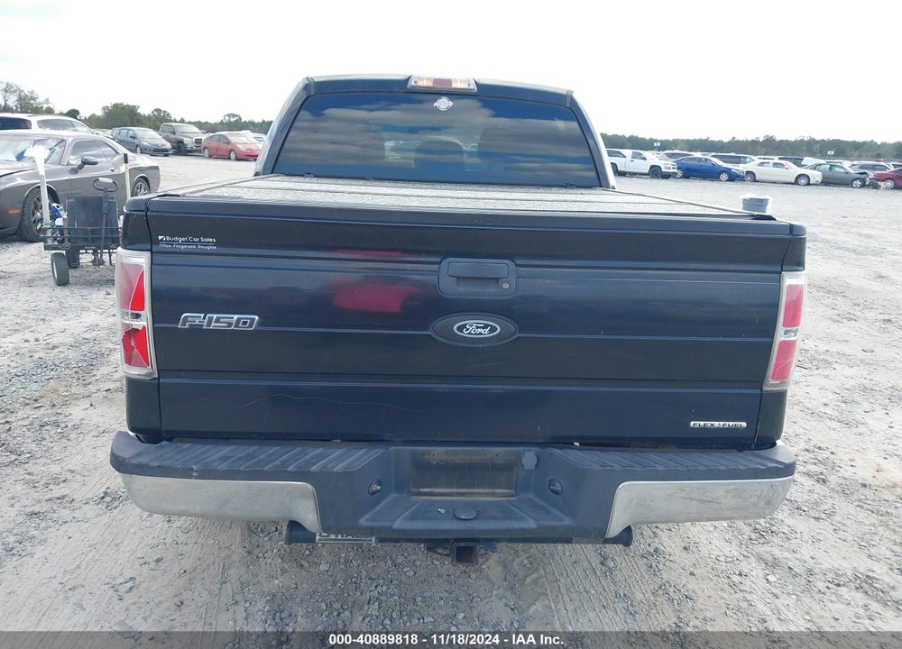 2011 FORD F-150 XLT VIN: 1FTEW1CM6BFB03707
