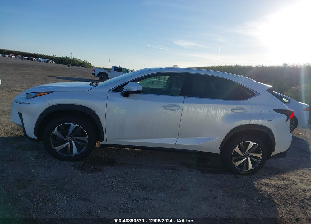 2019 LEXUS NX 300 VIN: JTJYARBZ9K2141881