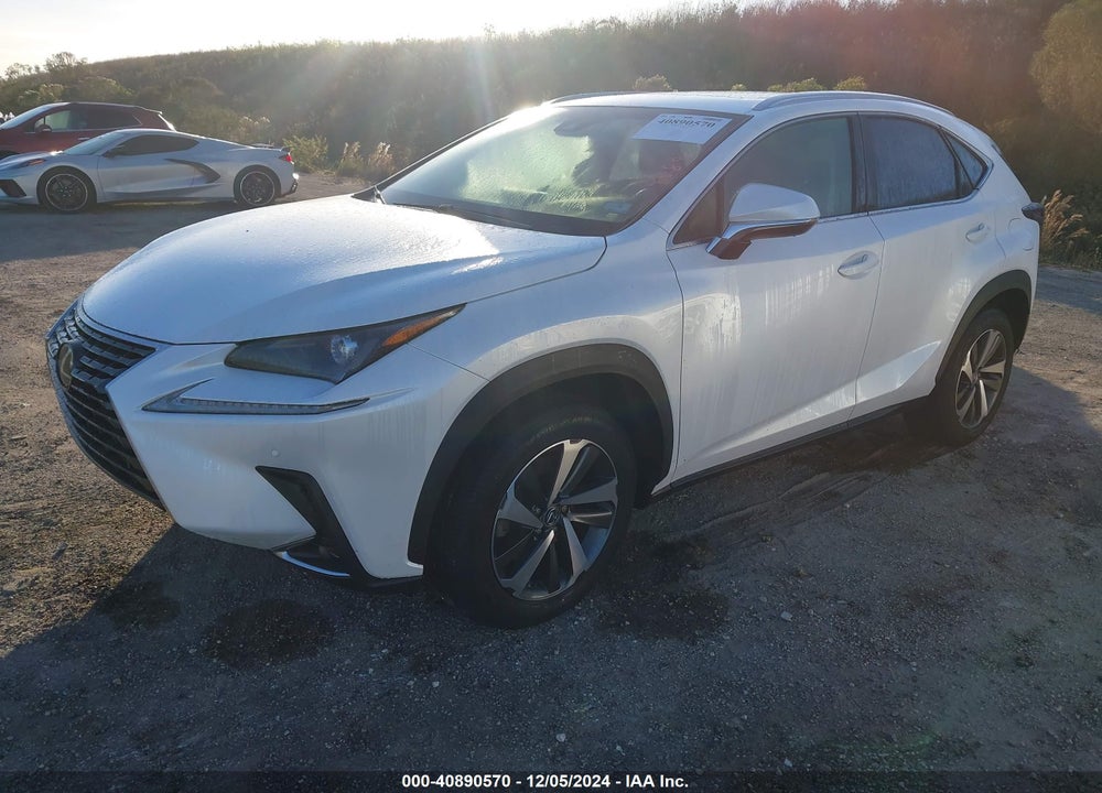 2019 LEXUS NX 300 VIN: JTJYARBZ9K2141881