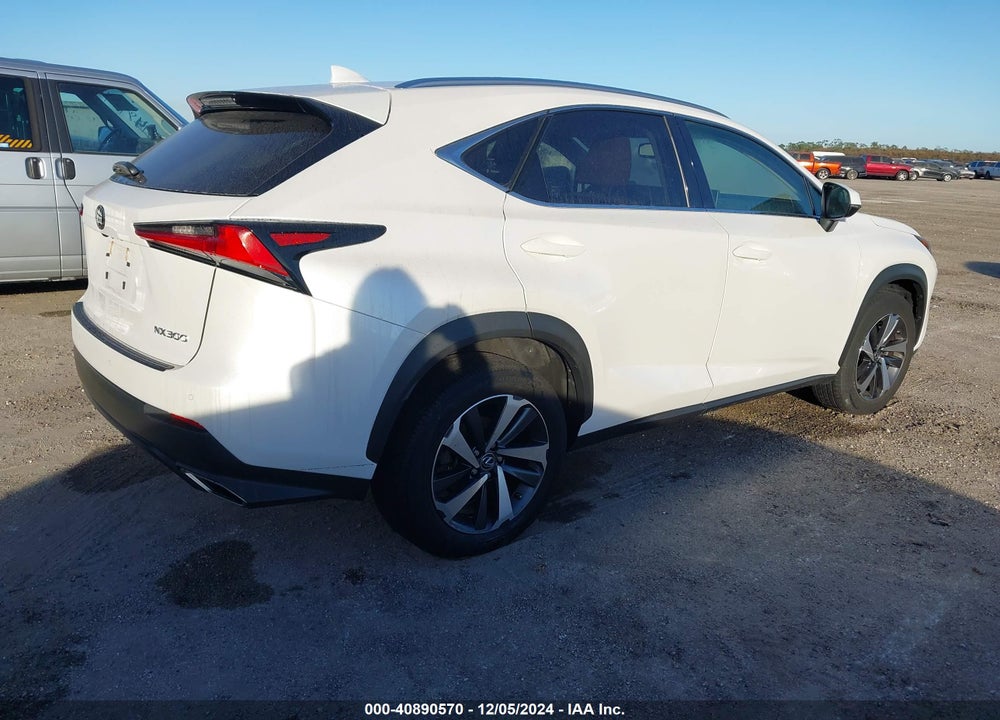 2019 LEXUS NX 300 VIN: JTJYARBZ9K2141881