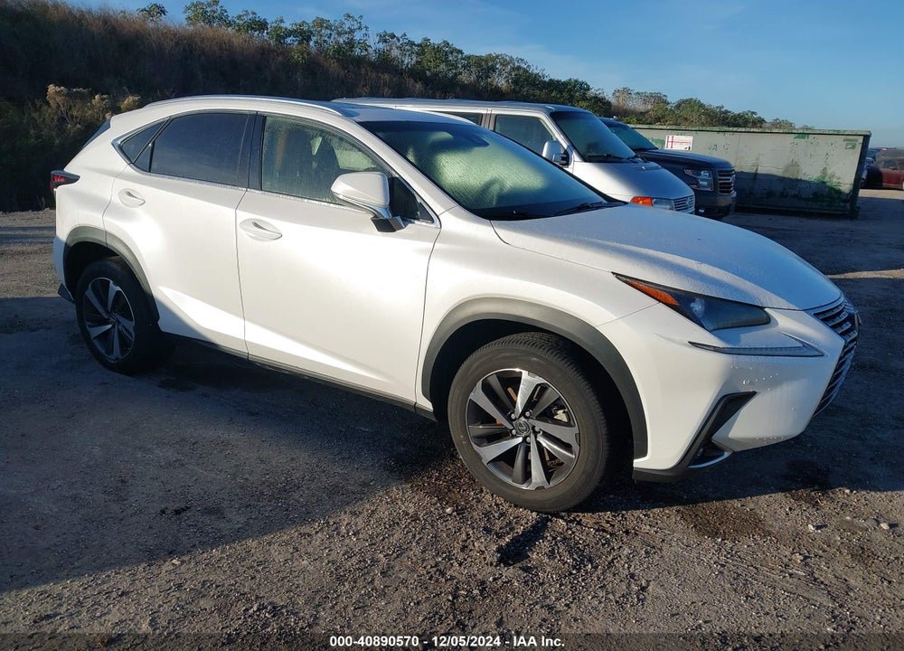 2019 LEXUS NX 300 VIN: JTJYARBZ9K2141881
