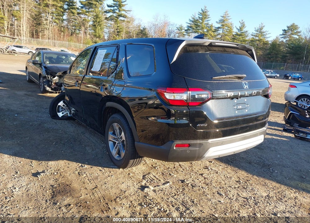 2025 HONDA PILOT EX-L VIN: 5FNYG1H40SB043446