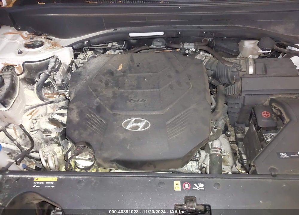 2020 HYUNDAI PALISADE VIN: KM8R54HE1LU094169