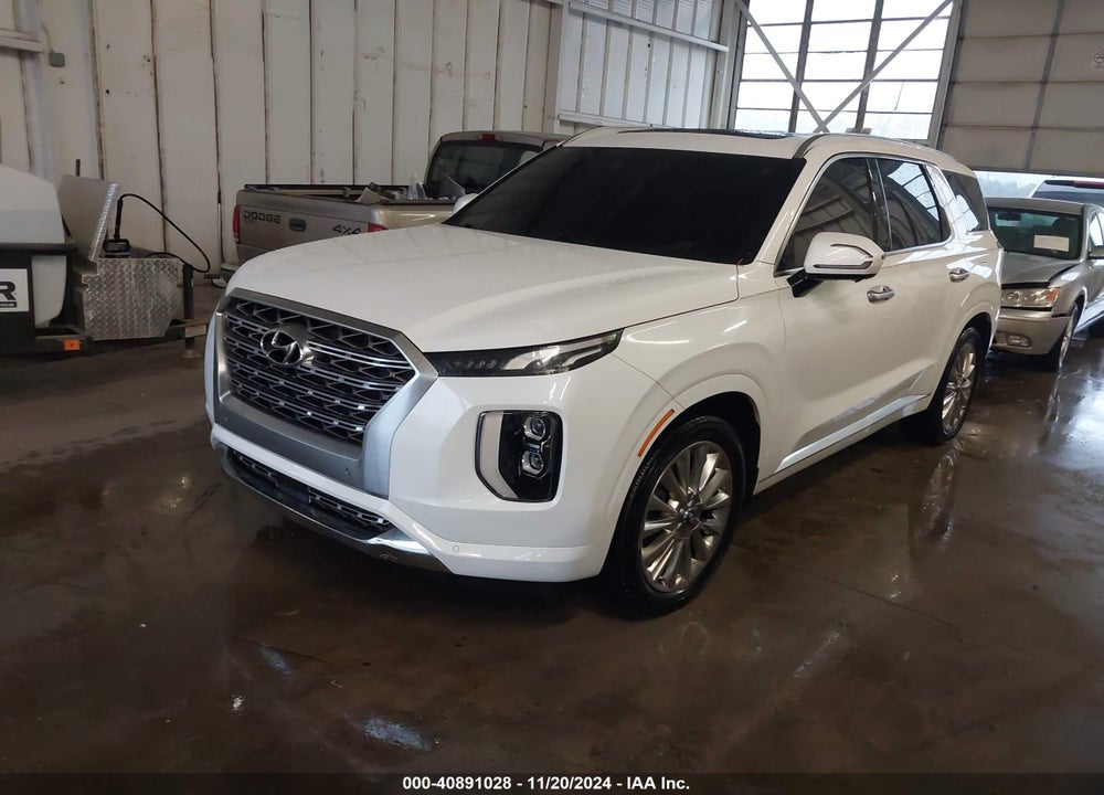 2020 HYUNDAI PALISADE VIN: KM8R54HE1LU094169