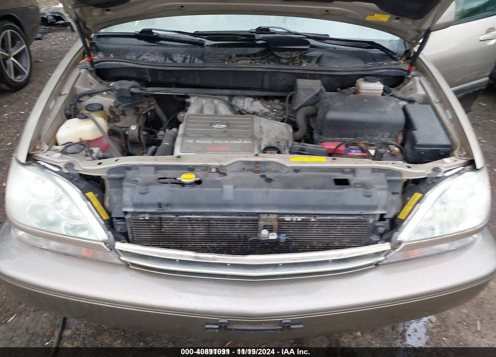 2001 LEXUS RX 300 VIN: JTJHF10U010212504