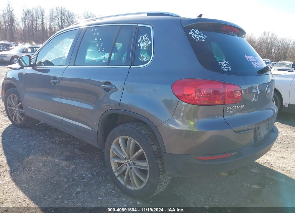2014 VOLKSWAGEN TIGUAN SE VIN: WVGBV3AX7EW611327
