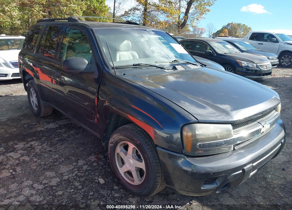 2006 CHEVROLET TRAILBLAZER LS VIN: 1GNDS13S162210688