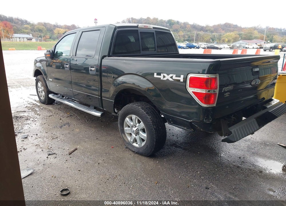 2013 FORD F-150 XLT VIN: 1FTFW1ET2DKE50695