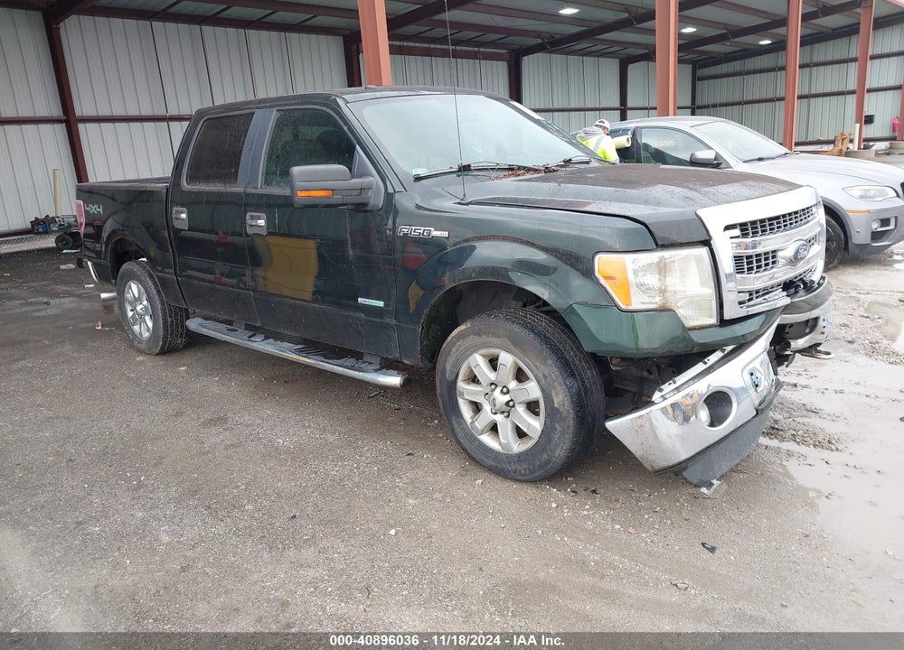 2013 FORD F-150 XLT VIN: 1FTFW1ET2DKE50695