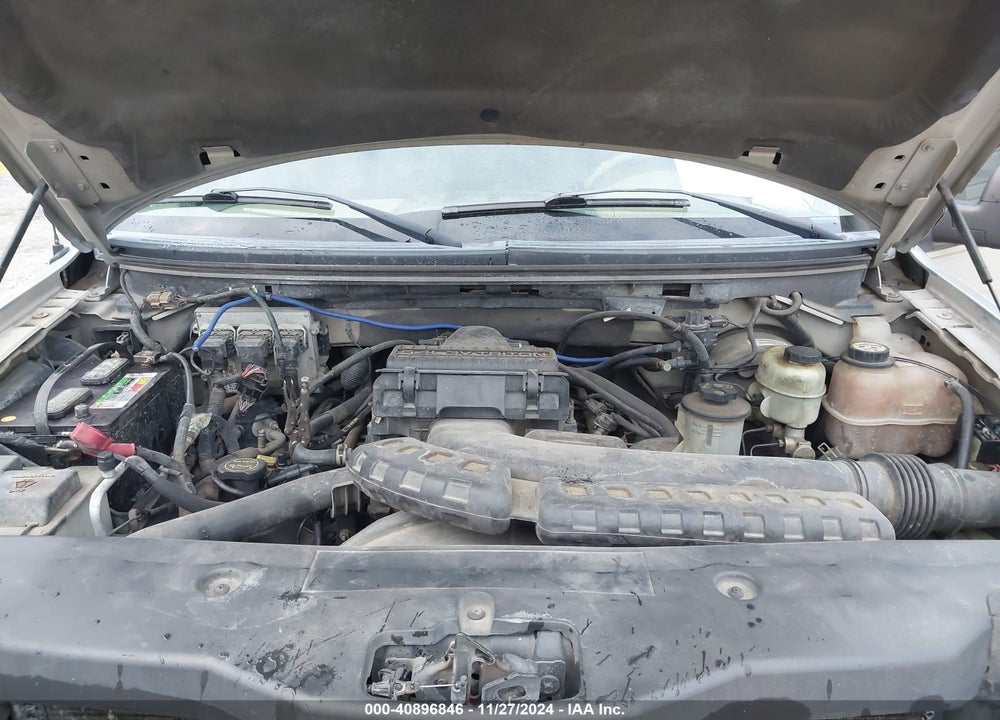 2006 FORD F-150 VIN: 1FTPX14516FA33990