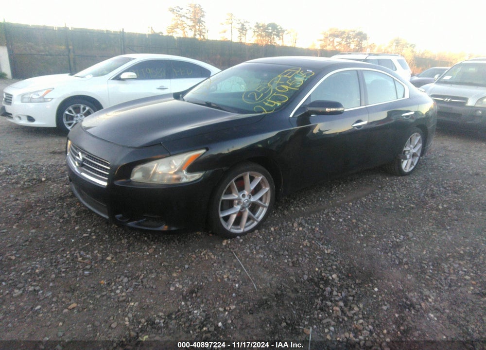2009 NISSAN MAXIMA 3.5 SV VIN: 1N4AA51E59C855822