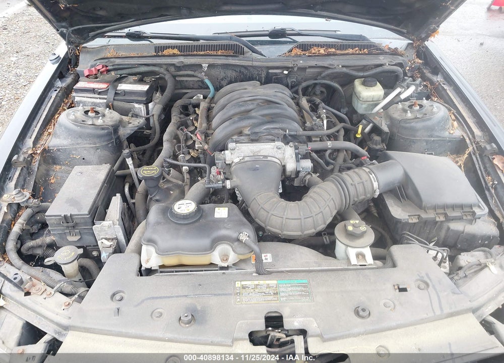 2005 FORD MUSTANG GT DELUXE/GT PREMIUM VIN: 1ZVFT82H155151245