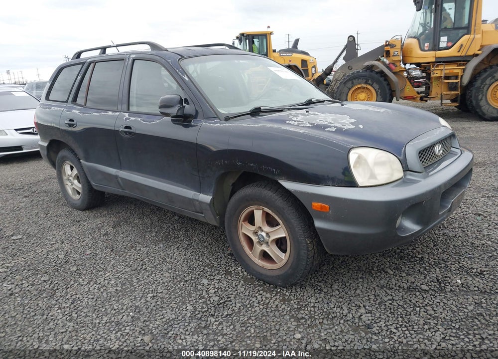2004 HYUNDAI SANTA FE GLS VIN: KM8SC73D74U729646
