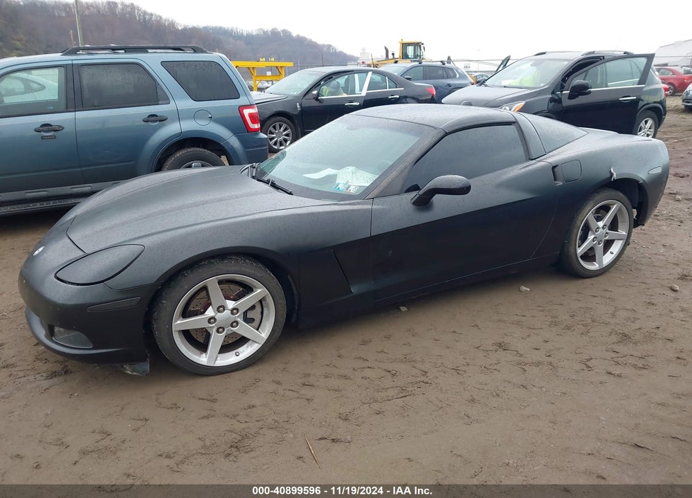 2005 CHEVROLET CORVETTE VIN: 1G1YY24UX55124848