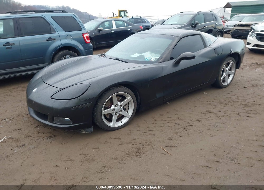 2005 CHEVROLET CORVETTE VIN: 1G1YY24UX55124848