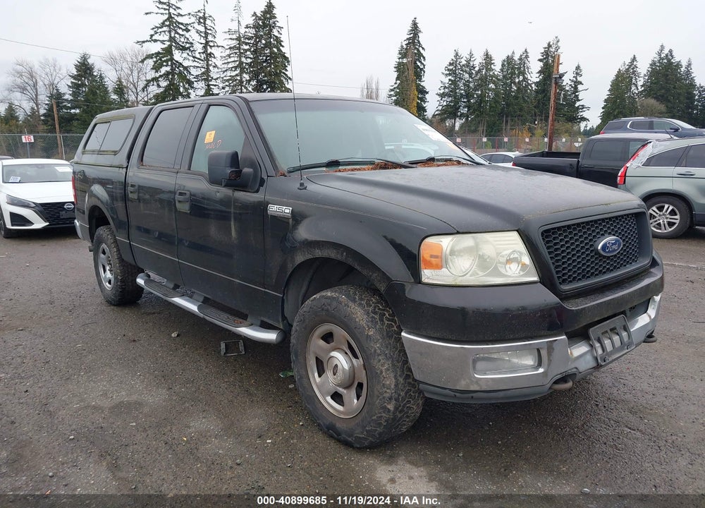 2004 FORD F-150 XLT VIN: 1FTRW14W24KC18266