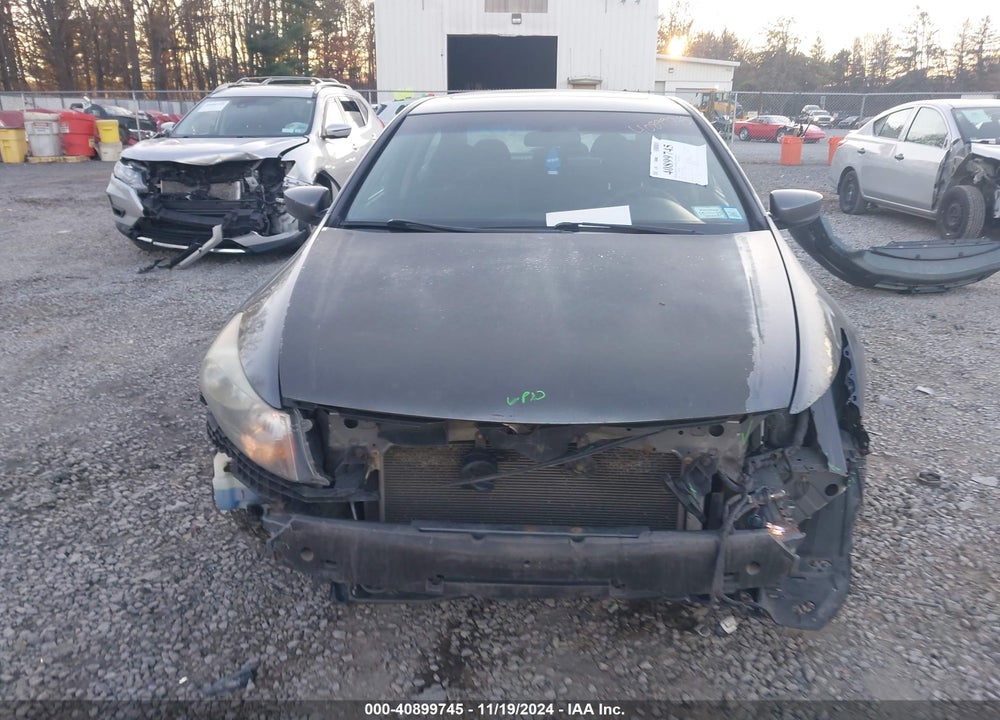 2010 HONDA ACCORD VIN: 1HGCP2F73AA114550