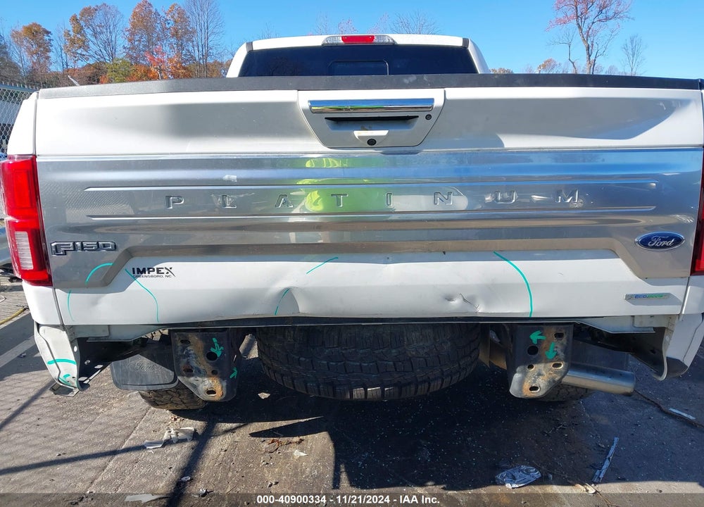 2020 FORD F-150 PLATINUM VIN: 1FTFW1E4XLFA87160