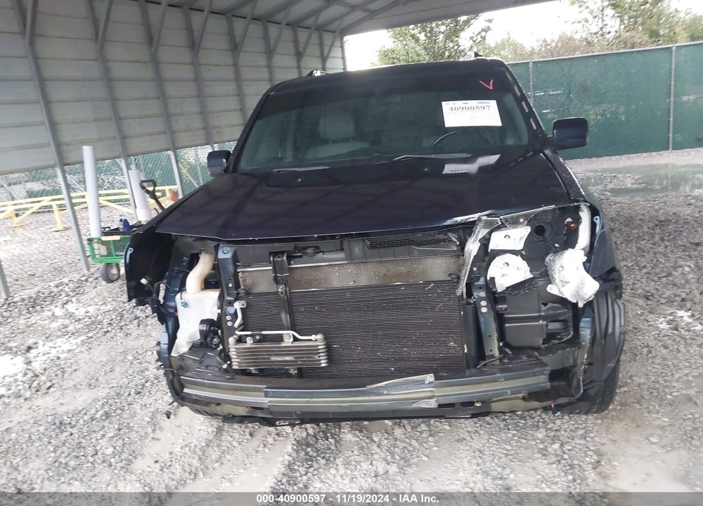 2010 HONDA PILOT EX-L VIN: 5FNYF3H51AB017167