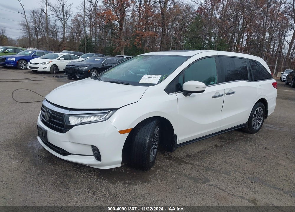 2022 HONDA ODYSSEY EX-L VIN: 5FNRL6H78NB028611