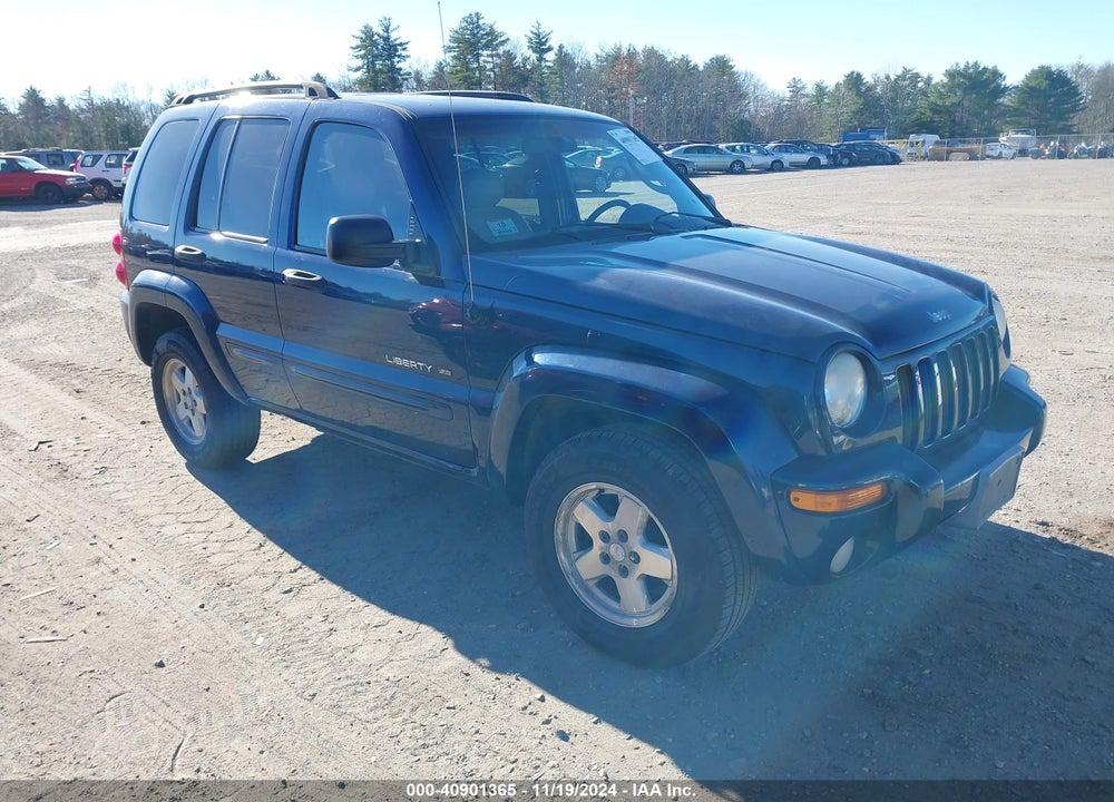 2002 JEEP LIBERTY LIMITED EDITION VIN: 1J8GL58KX2W330584