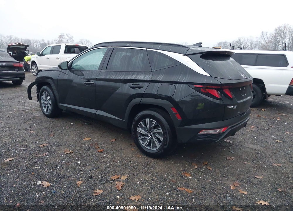 2024 HYUNDAI TUCSON HYBRID BLUE VIN: KM8JBCD1XRU210478