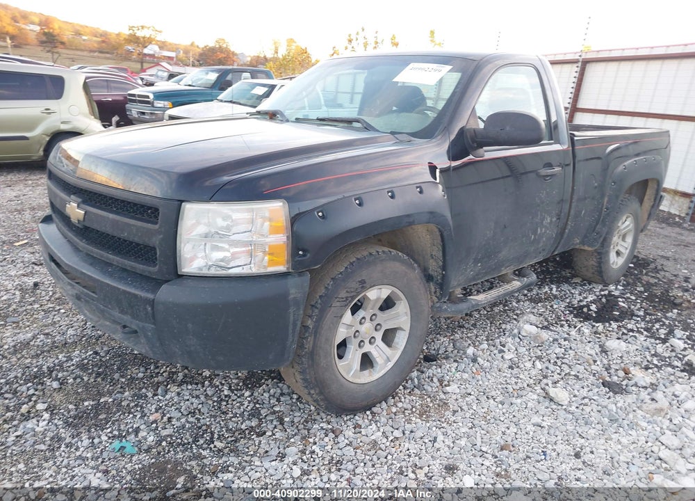 2010 CHEVROLET SILVERADO 1500 VIN: 1GCPKPE03AZ132497