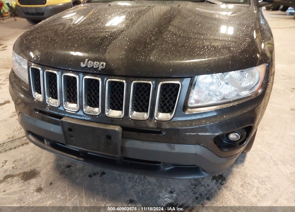 2011 JEEP COMPASS VIN: 1J4NF1FBXBD134720