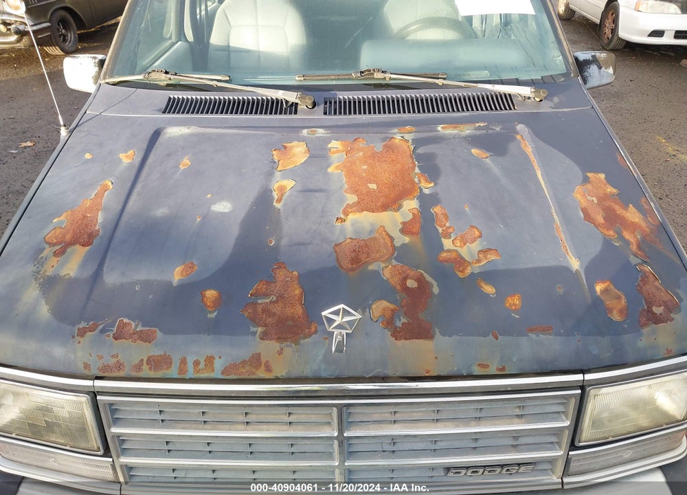 1990 DODGE GRAND CARAVAN SE VIN: 1B4FK44R6LX246208
