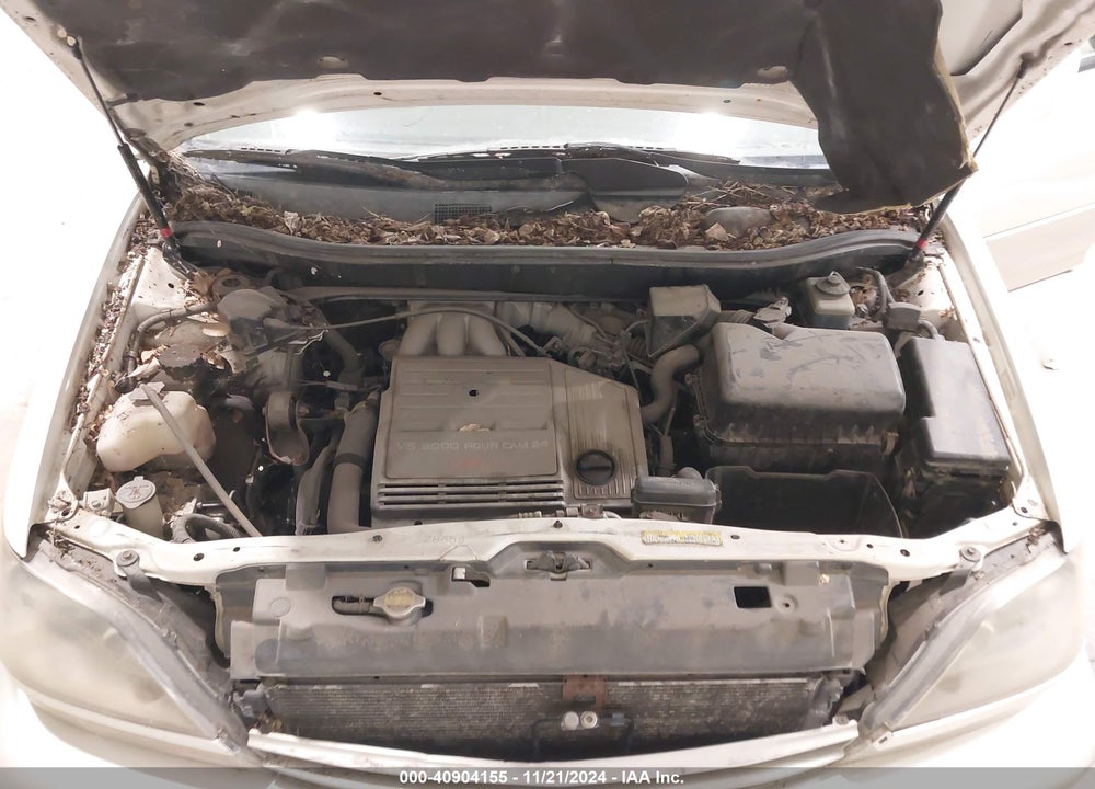 2000 LEXUS RX 300 VIN: JT6HF10U5Y0101242