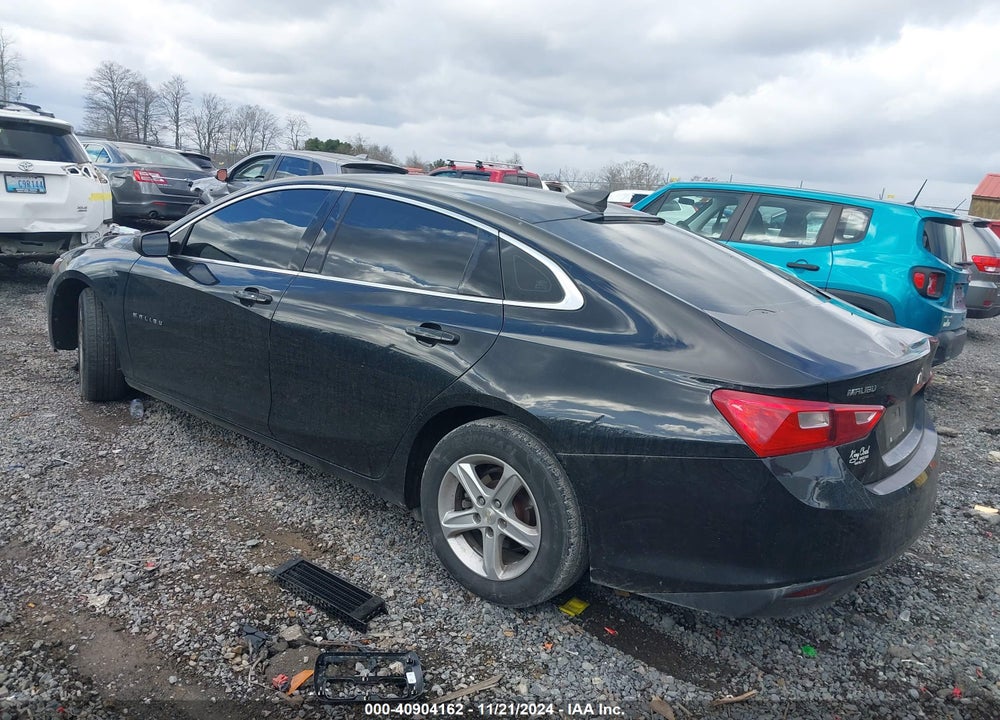 2019 CHEVROLET MALIBU VIN: 1G1ZB5ST1KF116404