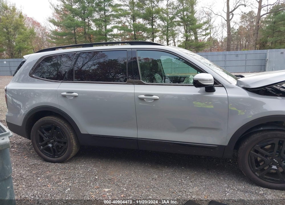 2024 KIA TELLURIDE SX X-LINE VIN: 5XYP5DGC8RG544602
